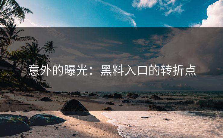 意外的曝光:黑料入口的转折点 意外的曝光:黑料入口的转折点