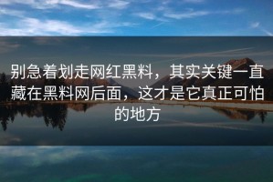 别急着划走网红黑料，其实关键一直藏在黑料网后面，这才是它真正可怕的地方